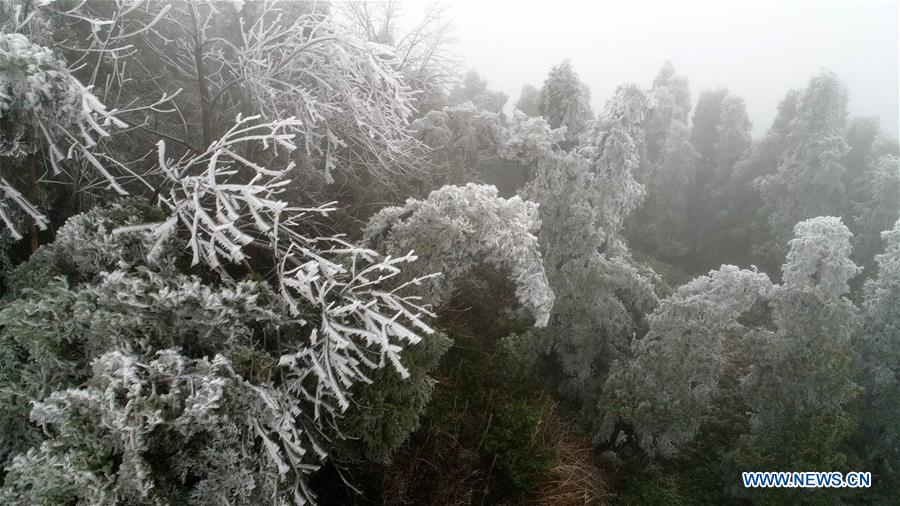 CHINA-JIANGXI-NANCHANG-FROST (CN)