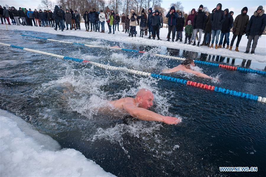 (SP)LITHUANIA-TRAKAI-WINTER SWIMMING RACE