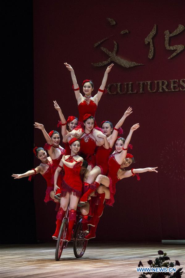 BRAZIL-RIO DE JANEIRO-CHINESE SPRING FESTIVAL-GALA