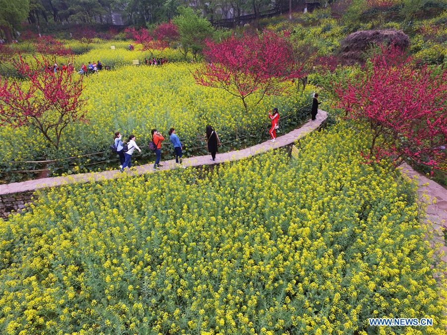 CHINA-CHONGQING-SPRING (CN)