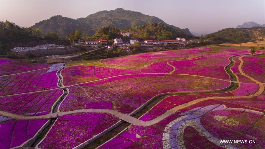 CHINA-ANHUI-HUOSHAN-SPRING SCENERY (CN)