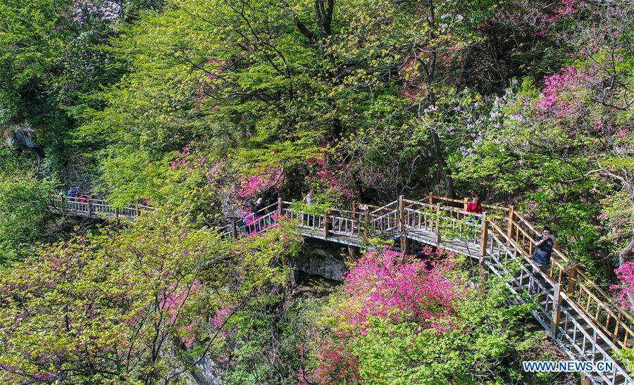 CHINA-ANHUI-JINZHAI-TOURISM