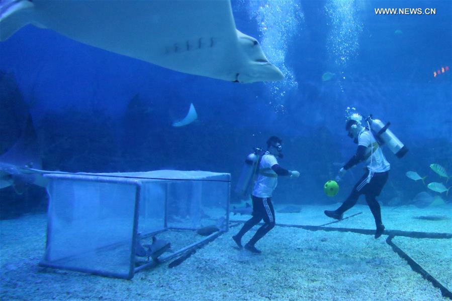 #CHINA-SHANDONG-OCEAN PARK-FOOTBALL GAME (CN)