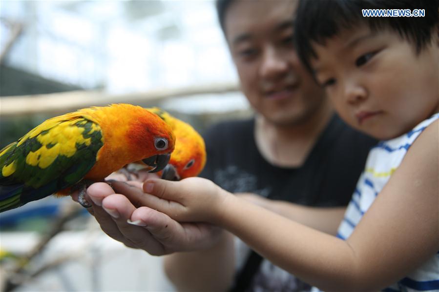 #CHINA-SHANDONG-RIZHAO-OCEAN CARNIVAL (CN)