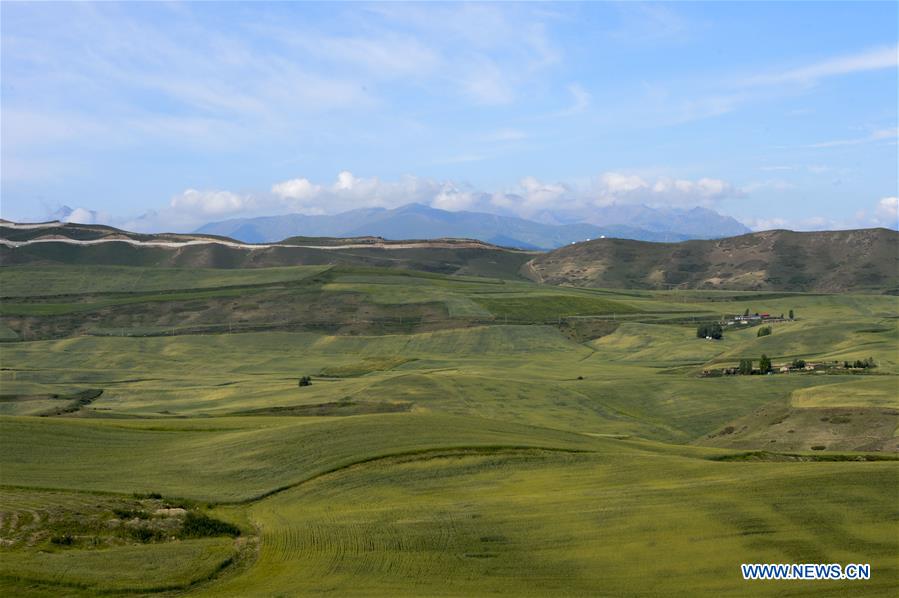 CHINA-XINJIANG-CHANGJI-SCENERY (CN)