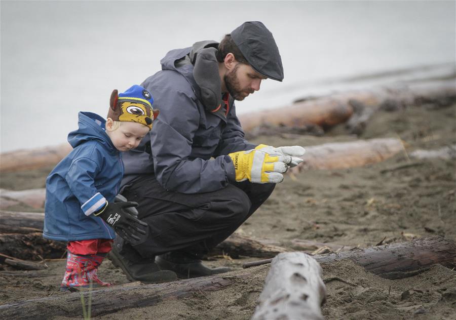 CANADA-RICHMOND-SHORELINE CLEANUP