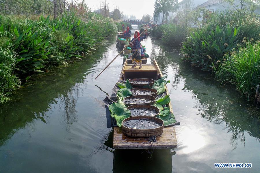 #CHINA-AGRICULTURE-HARVEST-FESTIVAL (CN)