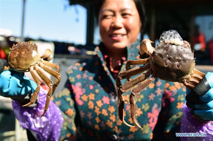 #CHINA-JIANGSU-YANGTZE RIVER-CRAB (CN)