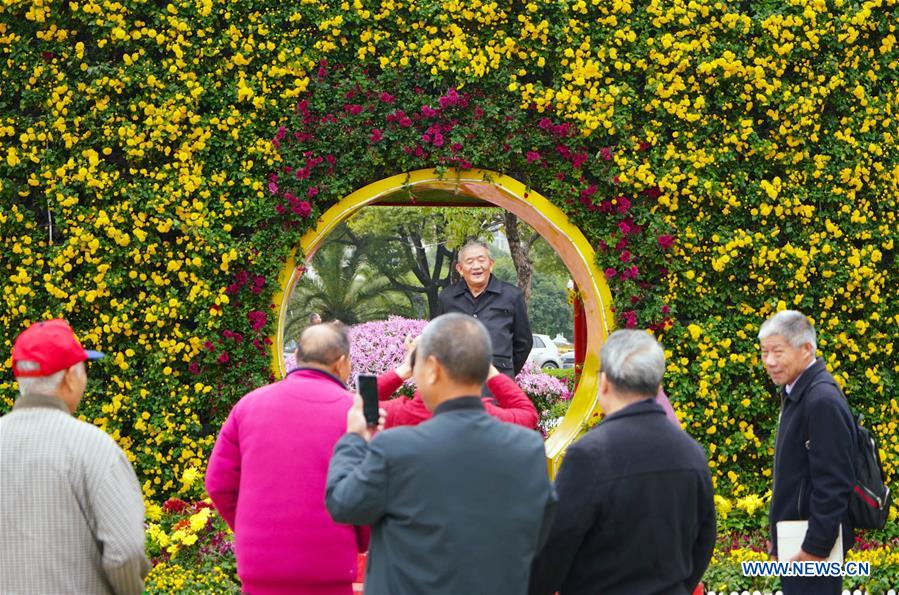 CHINA-JIANGXI-NANCHANG-CHRYSANTHEMUM SHOW (CN)