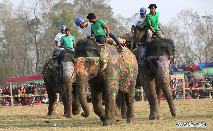 NEPAL-CHITWAN-ELEPHANT FESTIVAL