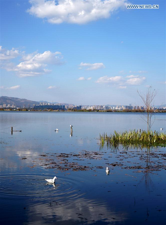 CHINA-KUNMING-DIANCHI LAKE-WATER QUALITY (CN)