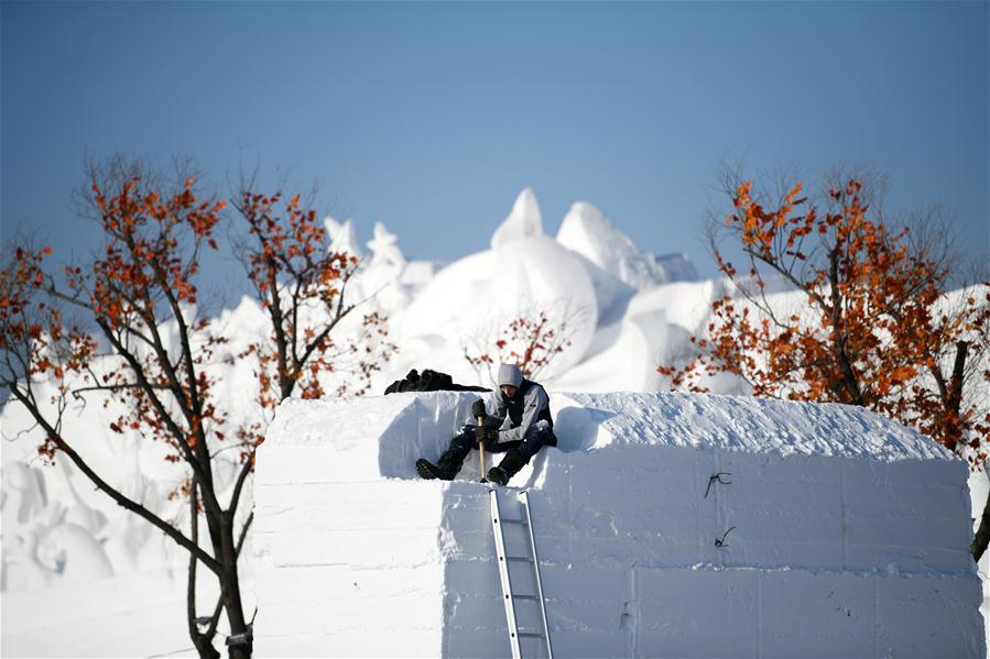 CHINA-HEILONGJIANG-HARBIN-ART ELITE-SNOW SCULPTURE COMPETITION (CN)