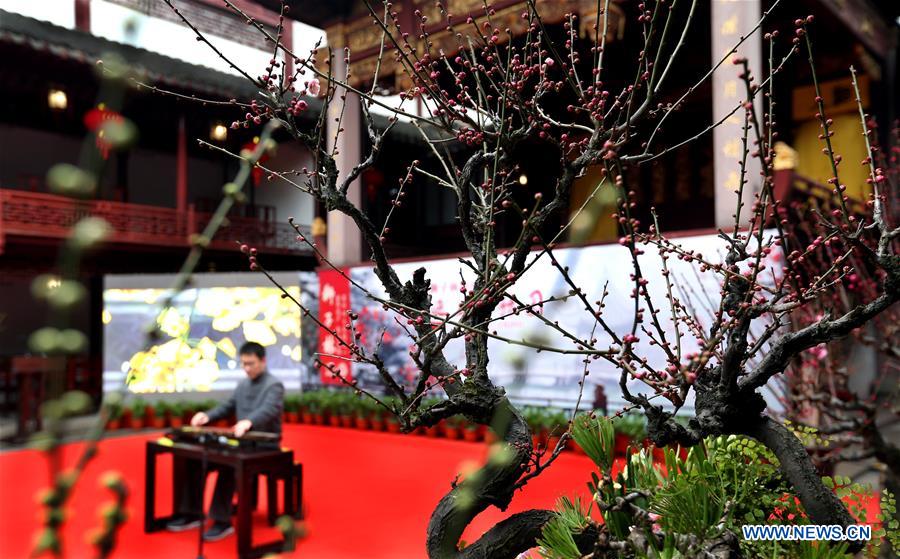 CHINA-SHANGHAI-PLUM EXHIBITION (CN)