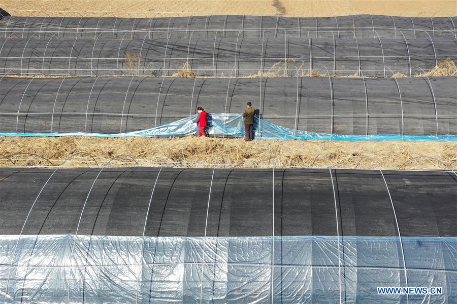 #CHINA-SPRING-FARMING (CN)