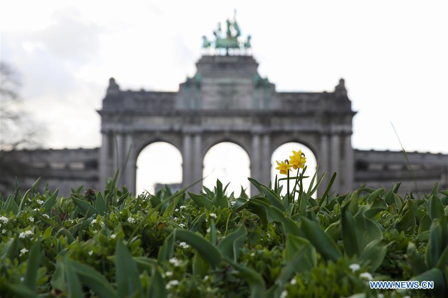 BELGIUM-BRUSSELS-SPRING