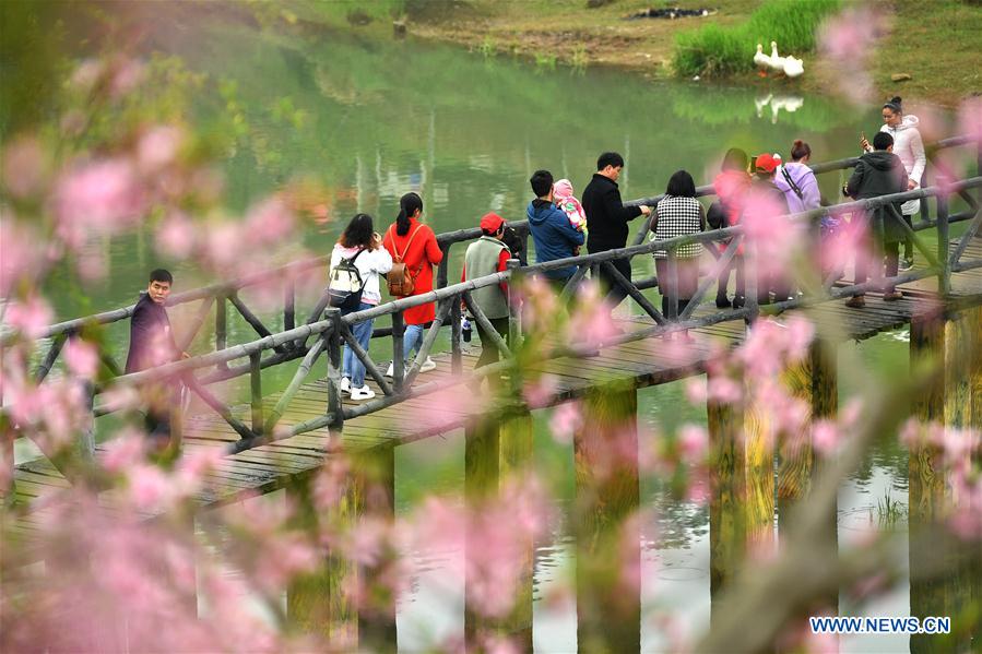 #CHINA-HUNAN-XIANGXI-PEACH FLOWER FAIR (CN)