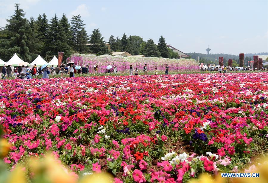 CHINA-LABOR DAY HOLIDAY-FLOWER (CN)