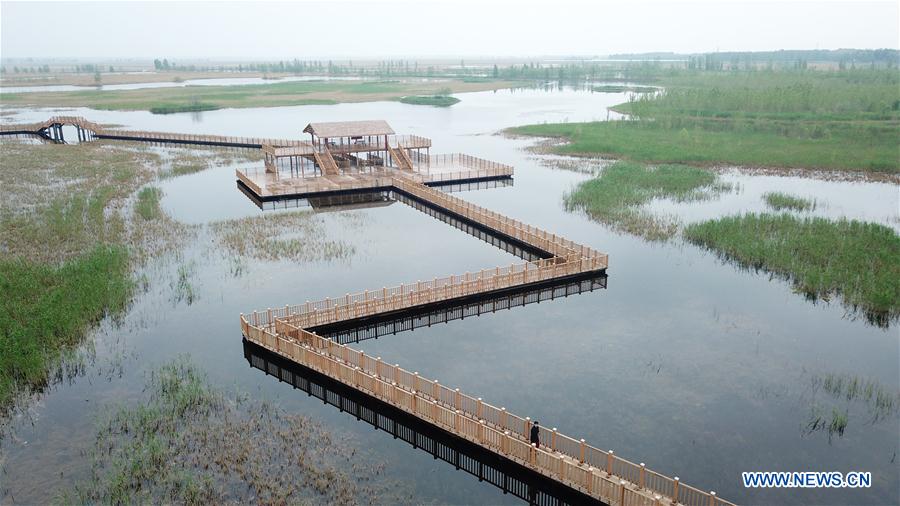 (EcoChina) CHINA-BEIJING-HORTICULTURAL EXPO-HEBEI (CN)