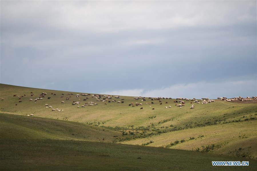 MONGOLIA-SCENERY