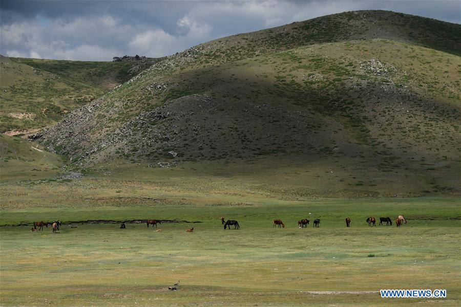 MONGOLIA-SCENERY