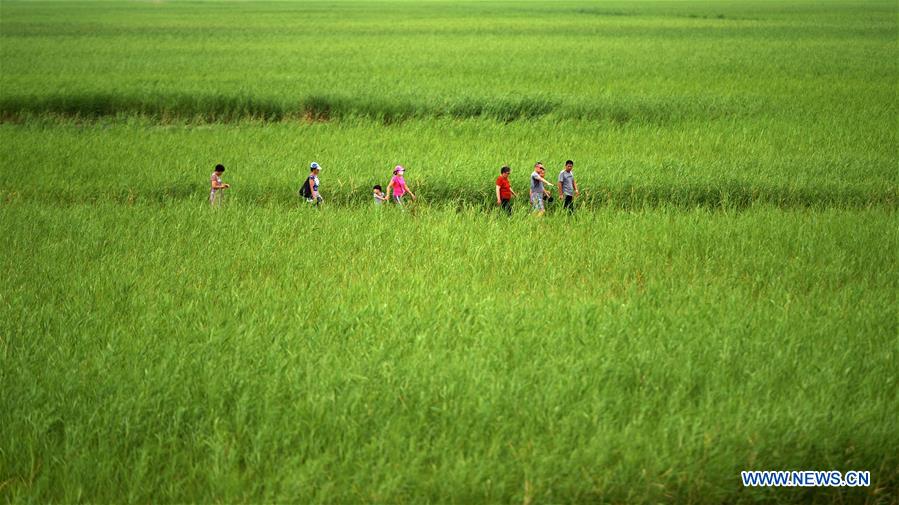 CHINA-HEILONGJIANG-WETLAND PROTECTION (CN)