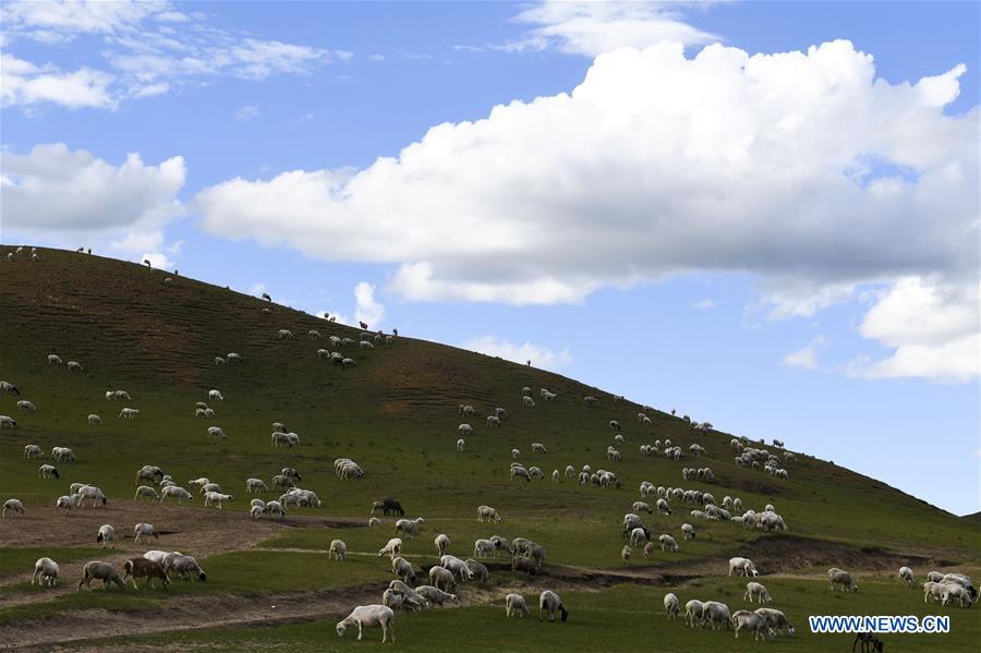 #CHINA-INNER MONGOLIA-GRASSLAND (CN)