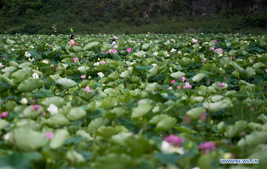 CHINA-YUNNAN-QIUBEI-PUZHEHEI NATIONAL WETLAND PARK (CN)