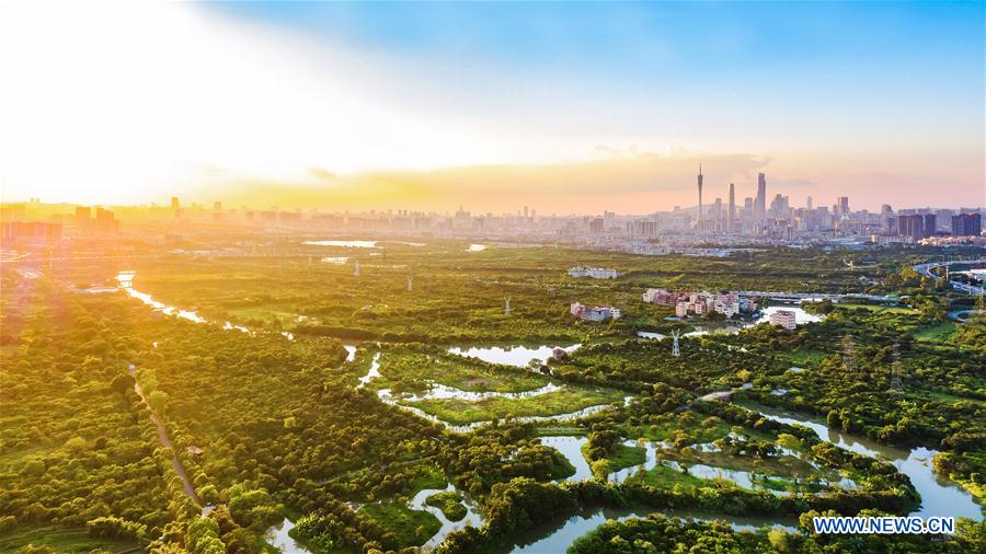 (EcoChina)CHINA-HORTICULTURAL EXPO-GUANGDONG (CN)