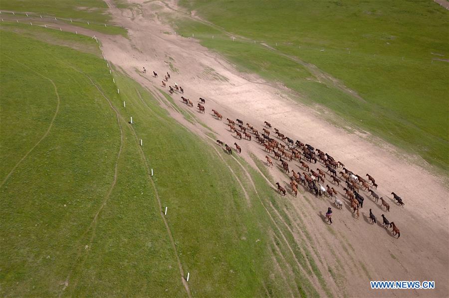 CHINA-GANSU-HORSE RANCH (CN)