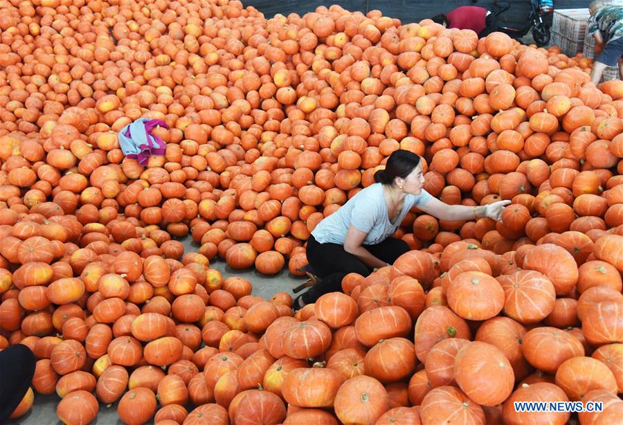 CHINA-SHANDONG-SHOUGUANG-VEGETABLE-SUPPLY (CN)