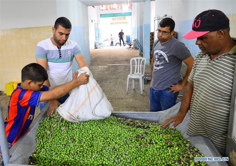 MIDEAST-GAZA-OLIVE MILL