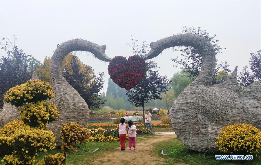 (BeijingCandid)CHINA-BEIJING-CHRYSANTHEMUM (CN)