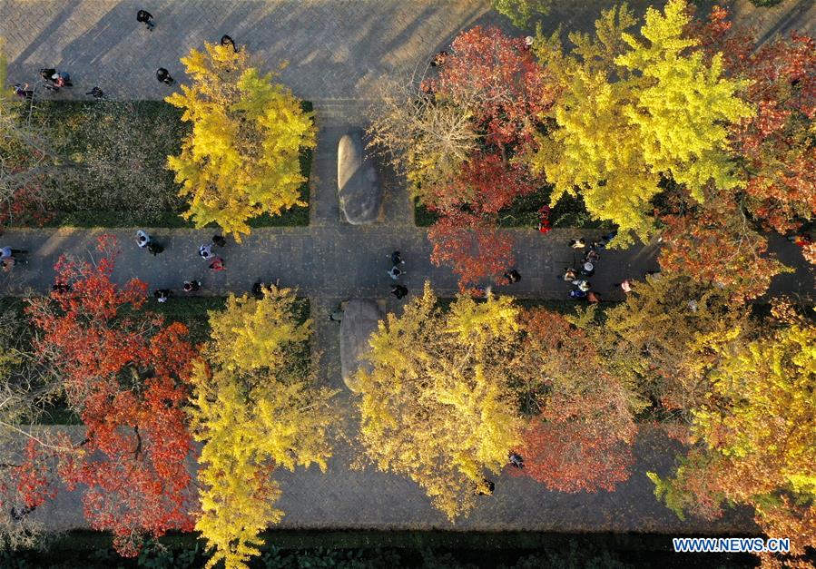 CHINA-NANJING-AUTUMN-XIAOLING MAUSOLEUM-SCENERY (CN)