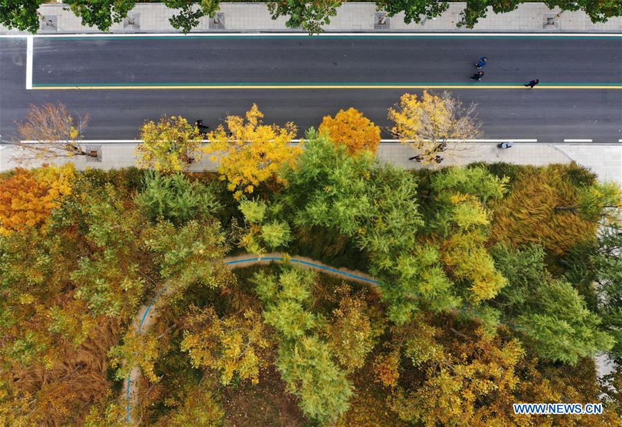 CHINA-HEBEI-XIONGAN-AUTUMN-AERIAL VIEW (CN)