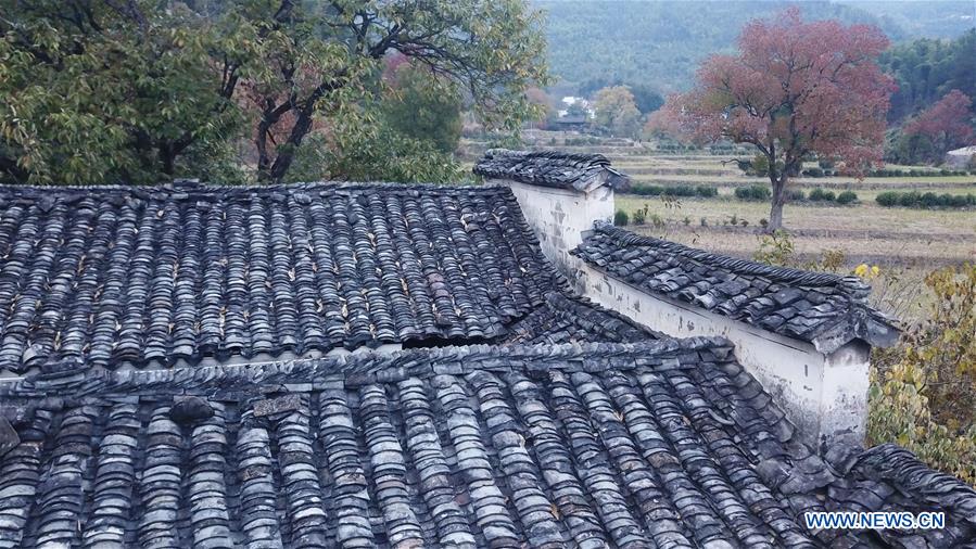 CHINA-ANHUI-TACHUAN-AUTUMN SCENERY (CN)