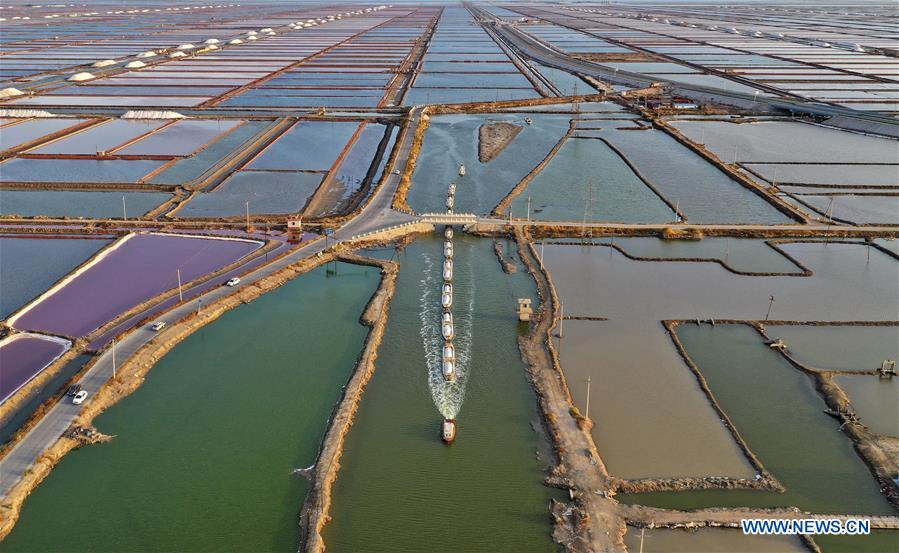 CHINA-HEBEI-CAOFEIDIAN-SALT PAN-AUTUMN-HARVEST (CN)