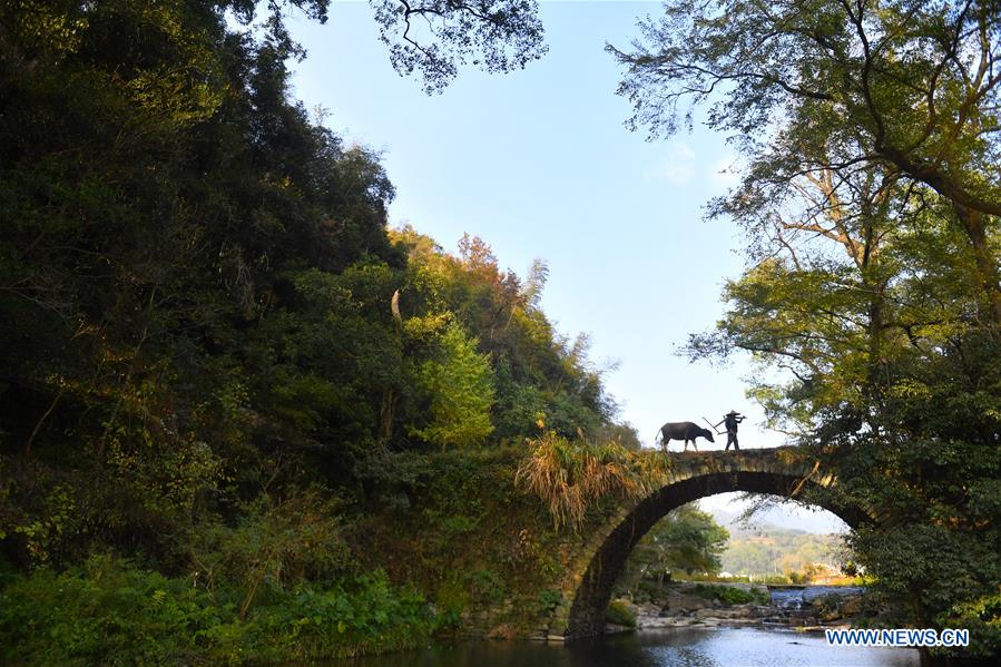 CHINA-JIANGXI-WUYUAN-TOURISM-SCENERY (CN)