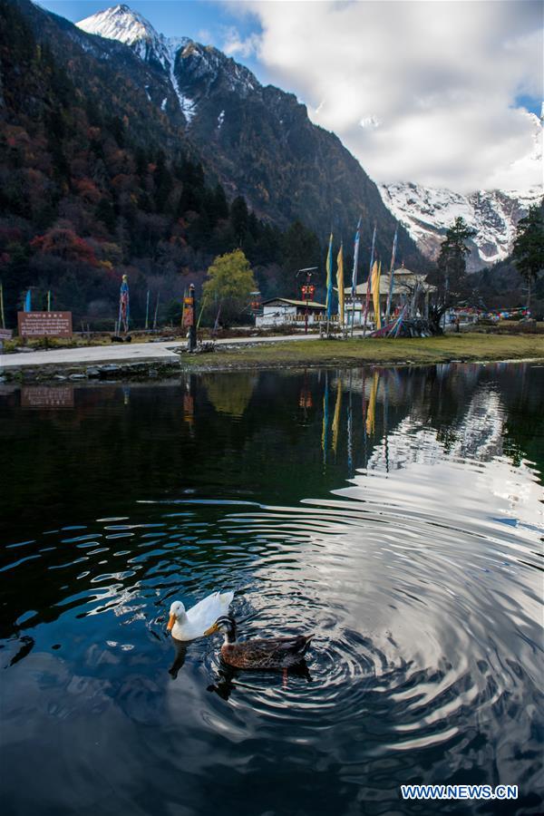 CHINA-YUNNAN-DEQEN-YUBENG VILLAGE-SCENERY (CN)