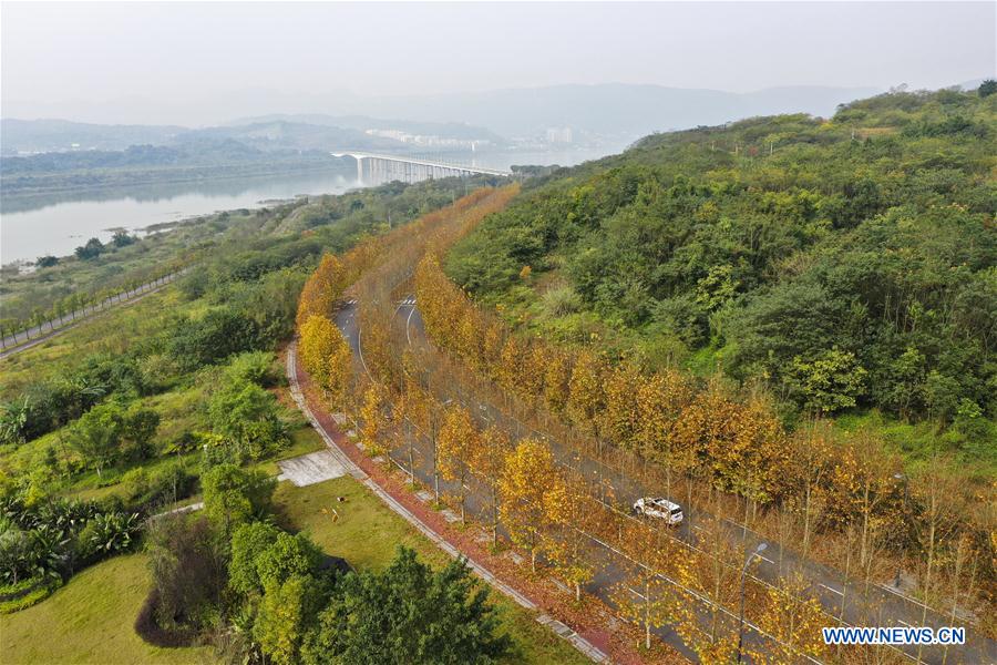 CHINA-CHONGQING-GUANGYANG ISLE-WINTER SCENERY (CN)