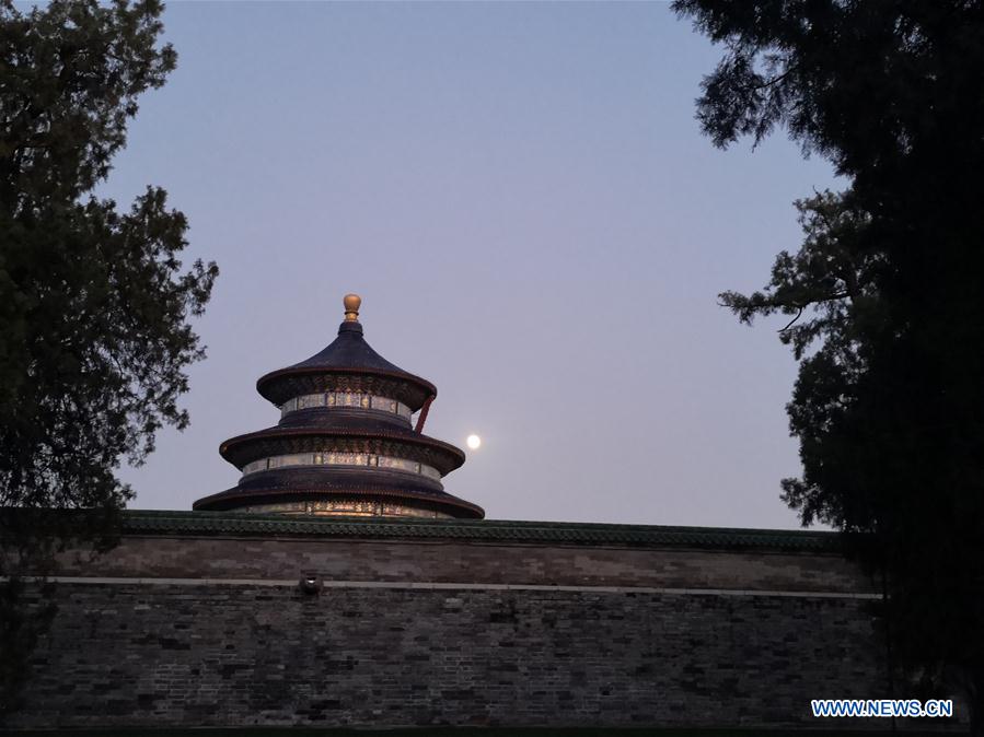 (BeijingCandid)CHINA-BEIJING-AUTUMN (CN)