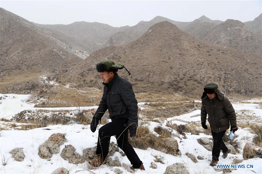 CHINA-GANSU-QILIAN MOUNTAINS-FOREST PROTECTION (CN)