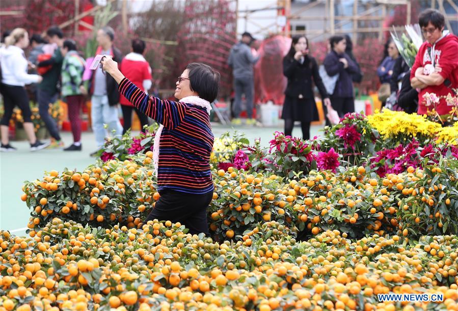 CHINA-HONG KONG-SPRING FESTIVAL-FLOWER (CN)