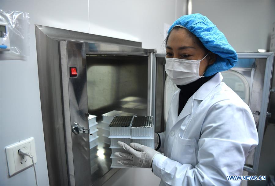 CHINA-HENAN-NUCLEIC ACID TEST KIT-PRODUCTION (CN)