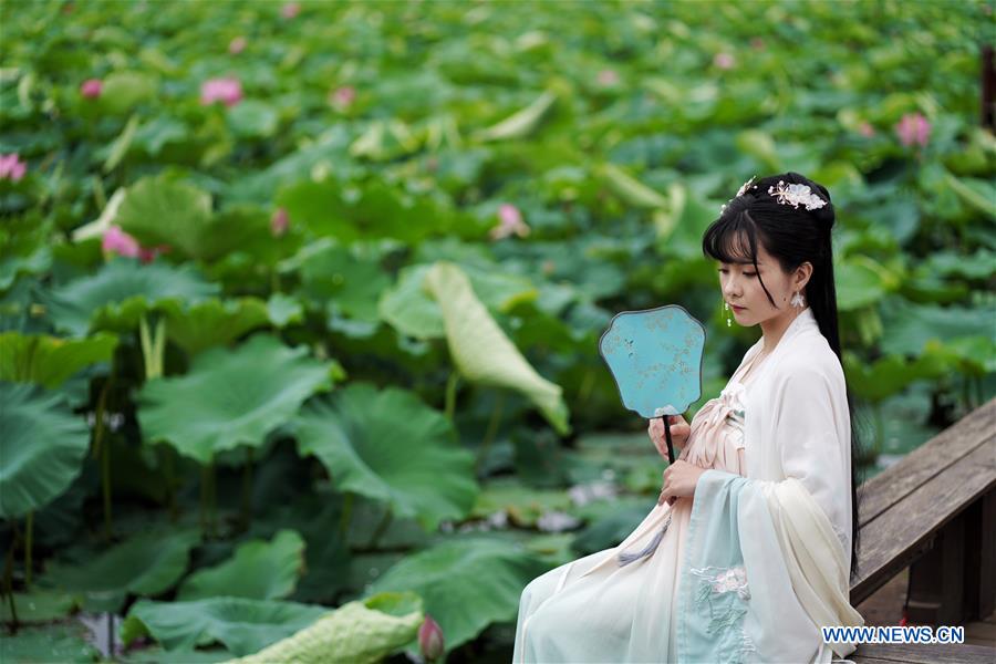 CHINA-YUNNAN-KUNMING-LOTUS FLOWERS (CN)