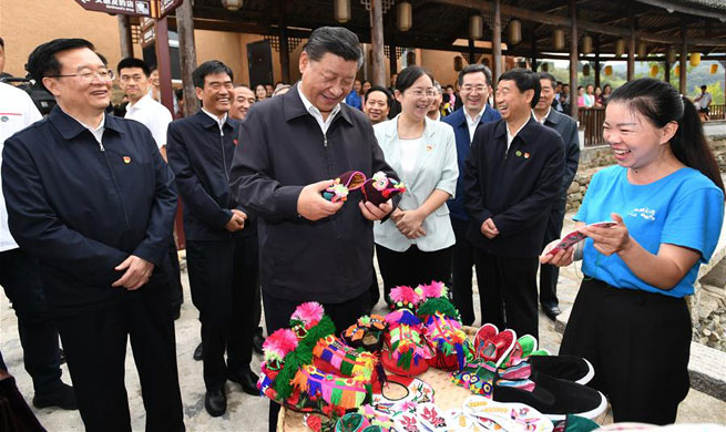 Xi goes to central China on inspection tour