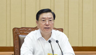 Top legislator presides over 1st plenary meeting of bimonthly session