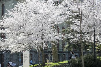 People enjoy warm spring day on campus in Philadelphia, U.S.