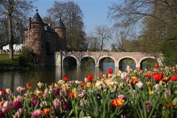 Flower festival Floralia Brussels attracts visitors in Belgium