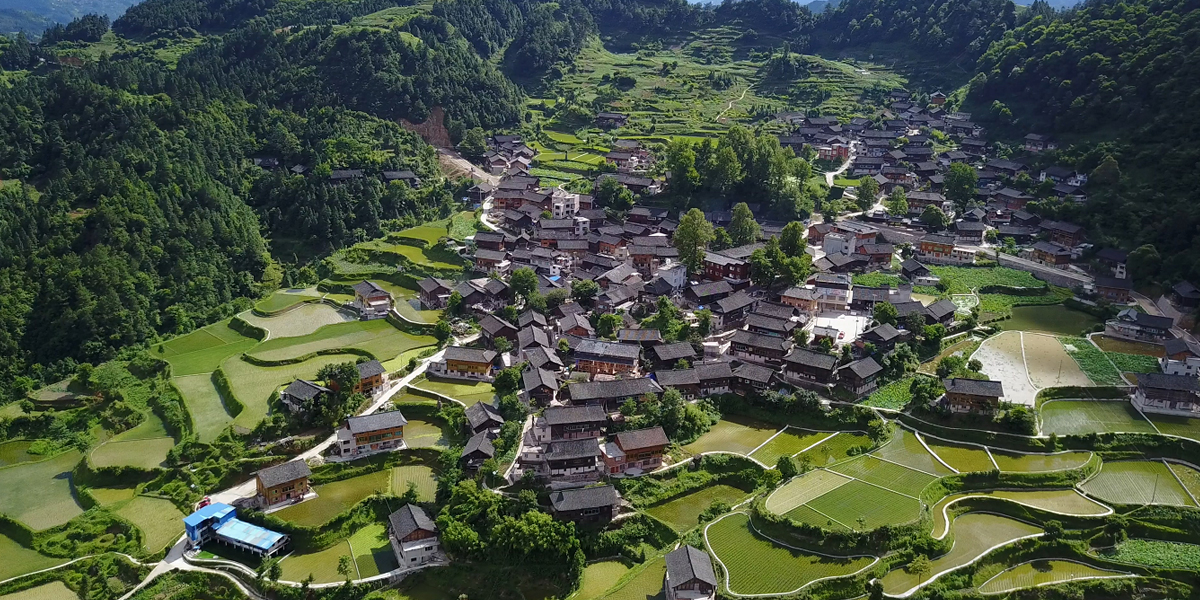 龙塘村全景图