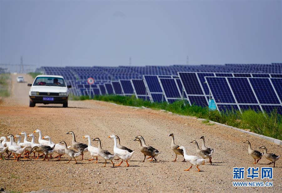 （新华全媒头条·在习近平新时代中国特色社会主义思想指引下——新时代新作为新篇章·图文互动）（7）绿富同兴画卷在沙海中铺展——库布其沙漠生态治理纪实